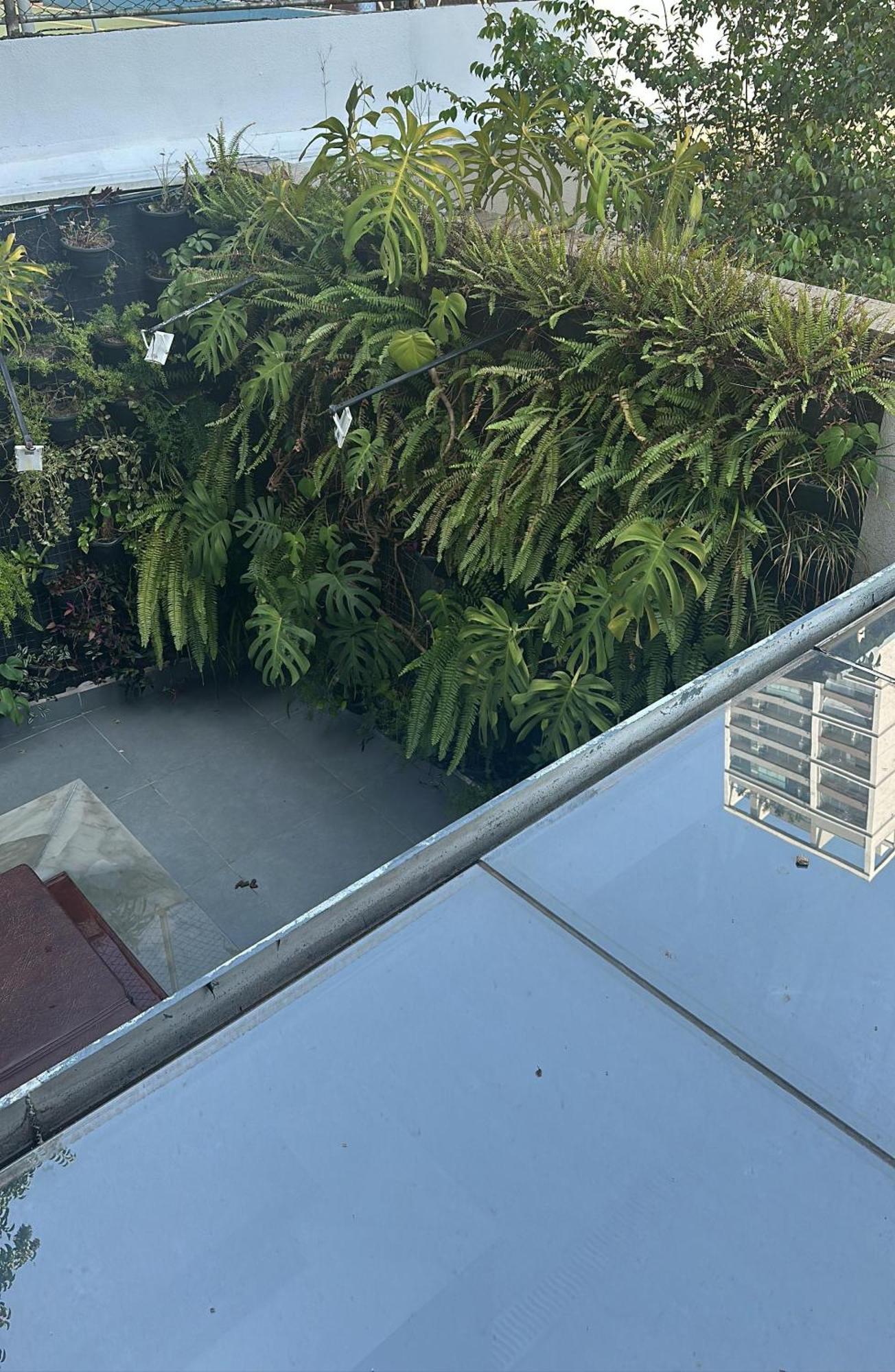 Allianz Parque , Perdizes São Paulo Extérieur photo